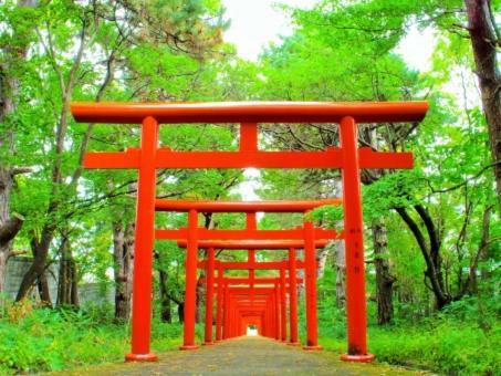 Casa de férias Kyonoya Fushimi Inari *